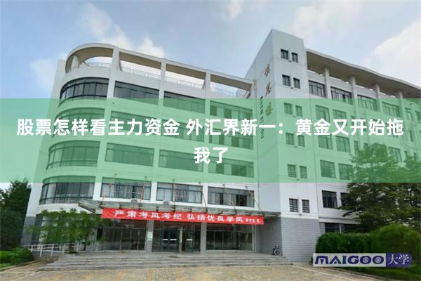 股票怎样看主力资金 外汇界新一：黄金又开始拖我了
