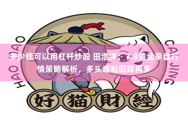 多少钱可以用杠杆炒股 田浩洋：7.8黄金早盘行情策略解析，多头崛起回踩再多