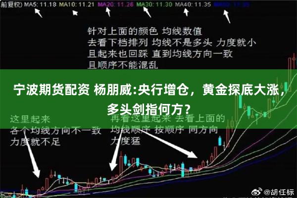宁波期货配资 杨朋威:央行增仓，黄金探底大涨，多头剑指何方？