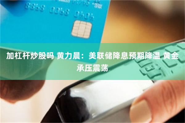 加杠杆炒股吗 黄力晨：美联储降息预期降温 黄金承压震荡
