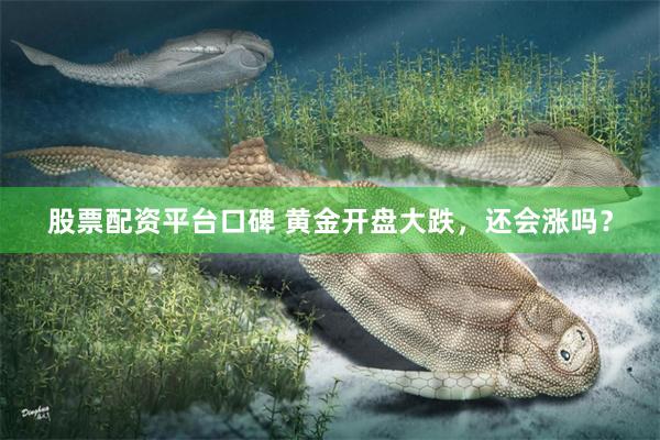 股票配资平台口碑 黄金开盘大跌，还会涨吗？