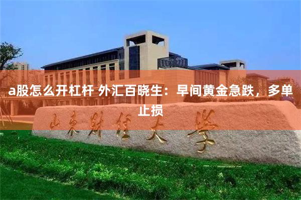 a股怎么开杠杆 外汇百晓生：早间黄金急跌，多单止损