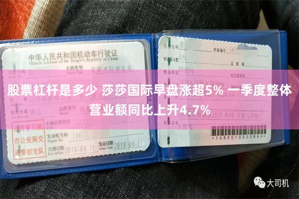 股票杠杆是多少 莎莎国际早盘涨超5% 一季度整体营业额同比上升4.7%