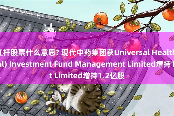 杠杆股票什么意思? 现代中药集团获Universal Health (Global) Investment Fund Management Limited增持1.2亿股