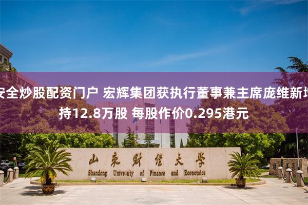 安全炒股配资门户 宏辉集团获执行董事兼主席庞维新增持12.8万股 每股作价0.295港元