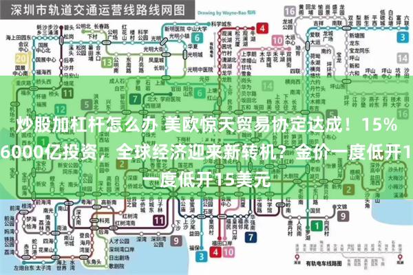 炒股加杠杆怎么办 美欧惊天贸易协定达成！15%关税+6000亿投资，全球经济迎来新转机？金价一度低开15美元