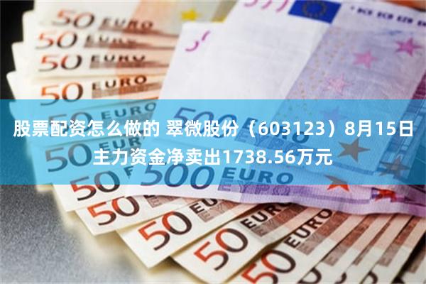 股票配资怎么做的 翠微股份（603123）8月15日主力资金净卖出1738.56万元