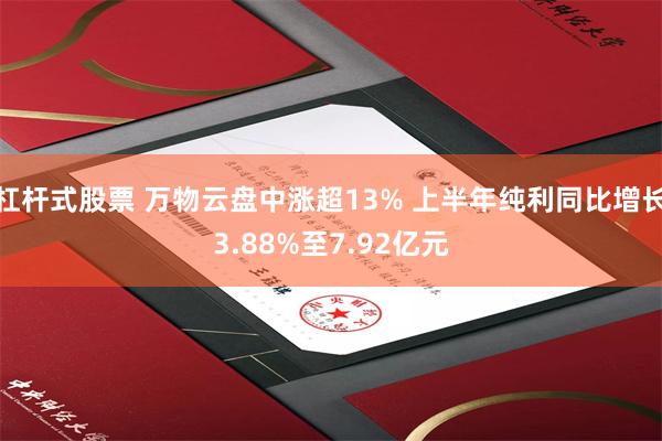 杠杆式股票 万物云盘中涨超13% 上半年纯利同比增长3.88%至7.92亿元