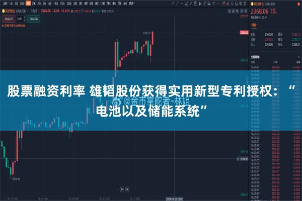 股票融资利率 雄韬股份获得实用新型专利授权：“电池以及储能系统”