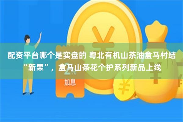 配资平台哪个是实盘的 粤北有机山茶油盒马村结“新果”，盒马山茶花个护系列新品上线