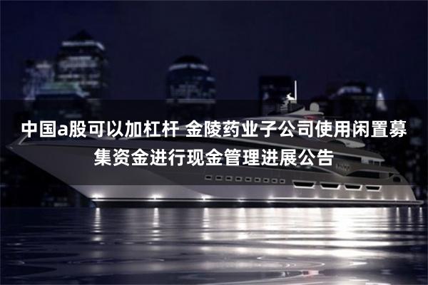 中国a股可以加杠杆 金陵药业子公司使用闲置募集资金进行现金管理进展公告