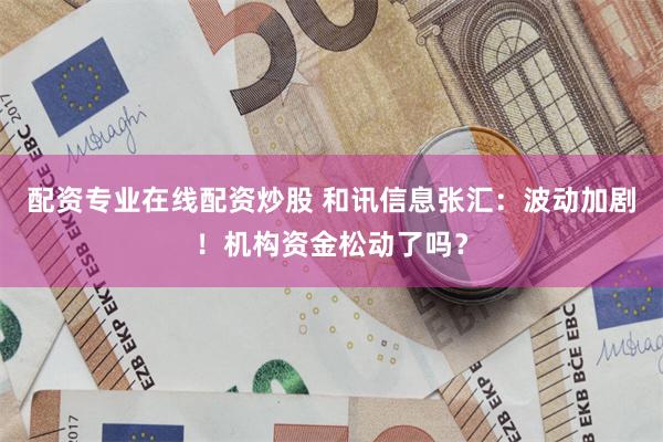 配资专业在线配资炒股 和讯信息张汇：波动加剧！机构资金松动了吗？