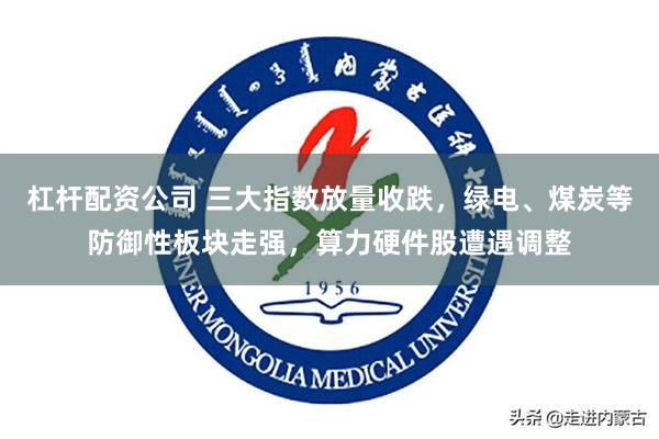 杠杆配资公司 三大指数放量收跌，绿电、煤炭等防御性板块走强，算力硬件股遭遇调整