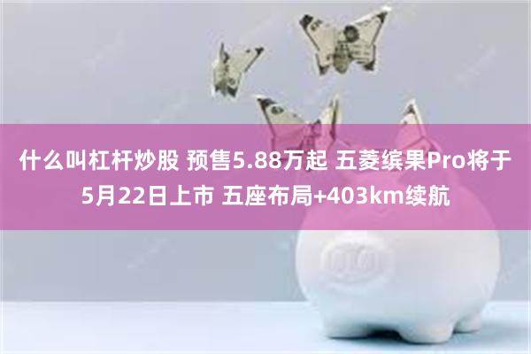 什么叫杠杆炒股 预售5.88万起 五菱缤果Pro将于5月22日上市 五座布局+403km续航
