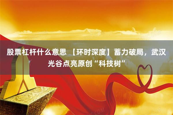 股票杠杆什么意思 【环时深度】蓄力破局，武汉光谷点亮原创“科技树”