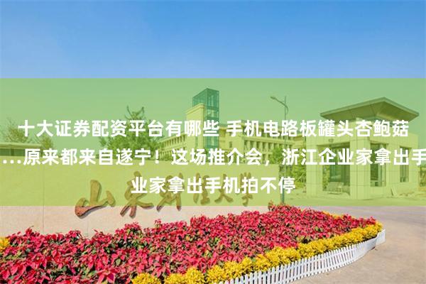 十大证券配资平台有哪些 手机电路板罐头杏鲍菇舍得酒……原来都来自遂宁！这场推介会，浙江企业家拿出手机拍不停