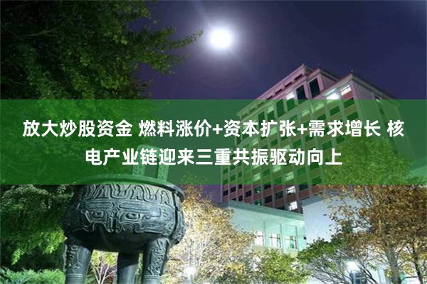 放大炒股资金 燃料涨价+资本扩张+需求增长 核电产业链迎来三重共振驱动向上
