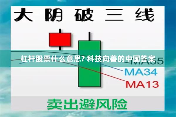 杠杆股票什么意思? 科技向善的中国答案