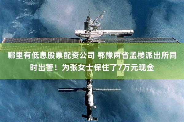 哪里有低息股票配资公司 鄂豫两省孟楼派出所同时出警！为张女士保住了7万元现金