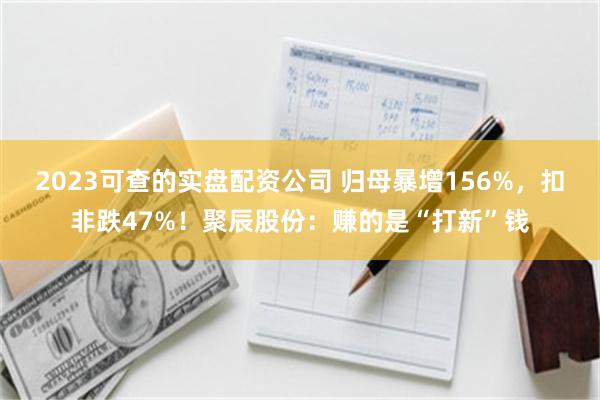2023可查的实盘配资公司 归母暴增156%,扣非跌47%!聚辰股份:赚的是“打新”钱
