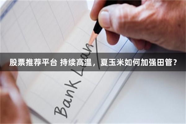 股票推荐平台 持续高温，夏玉米如何加强田管？