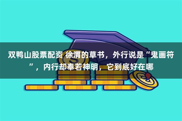 双鸭山股票配资 徐渭的草书，外行说是“鬼画符”，内行却奉若神明，它到底好在哪