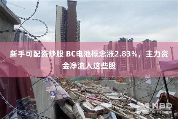 新手可配资炒股 BC电池概念涨2.83%，主力资金净流入这些股