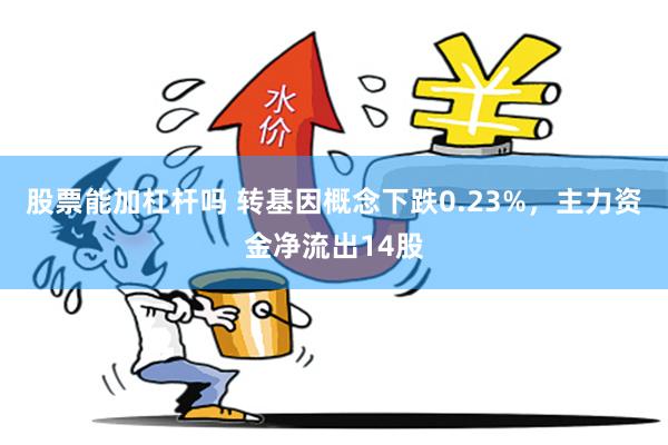 股票能加杠杆吗 转基因概念下跌0.23%，主力资金净流出14股