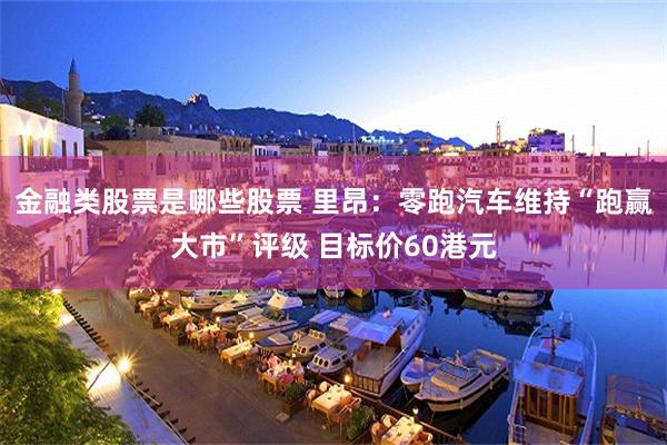 金融类股票是哪些股票 里昂：零跑汽车维持“跑赢大市”评级 目标价60港元