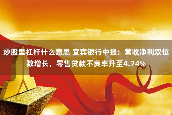 炒股里杠杆什么意思 宜宾银行中报：营收净利双位数增长，零售贷款不良率升至4.74%