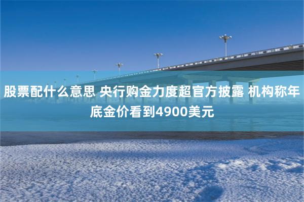 股票配什么意思 央行购金力度超官方披露 机构称年底金价看到4900美元