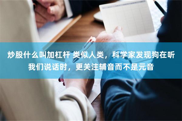 炒股什么叫加杠杆 类似人类，科学家发现狗在听我们说话时，更关注辅音而不是元音