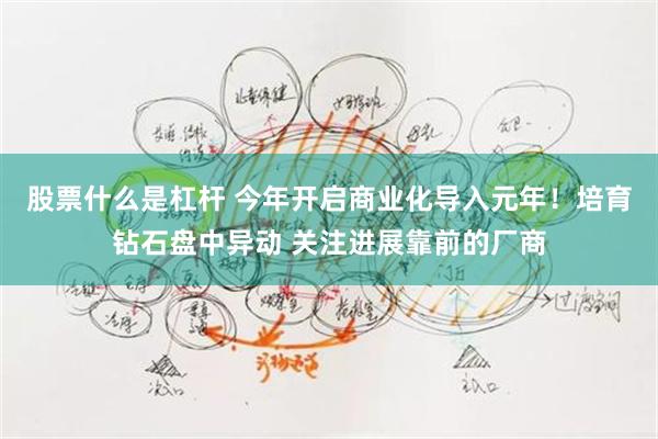 股票什么是杠杆 今年开启商业化导入元年!培育钻石盘中异动 关注进展靠前的厂商
