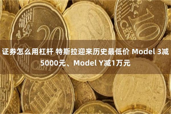 证券怎么用杠杆 特斯拉迎来历史最低价 Model 3减5000元、Model Y减1万元