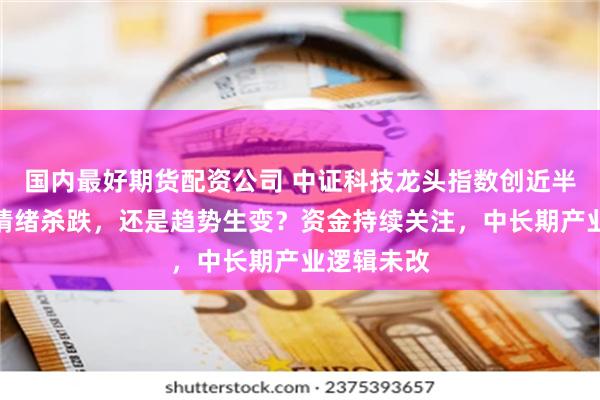 国内最好期货配资公司 中证科技龙头指数创近半年新低：情绪杀跌，还是趋势生变？资金持续关注，中长期产业逻辑未改